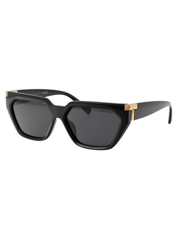 0TF4205U Geometrical Sunglasses