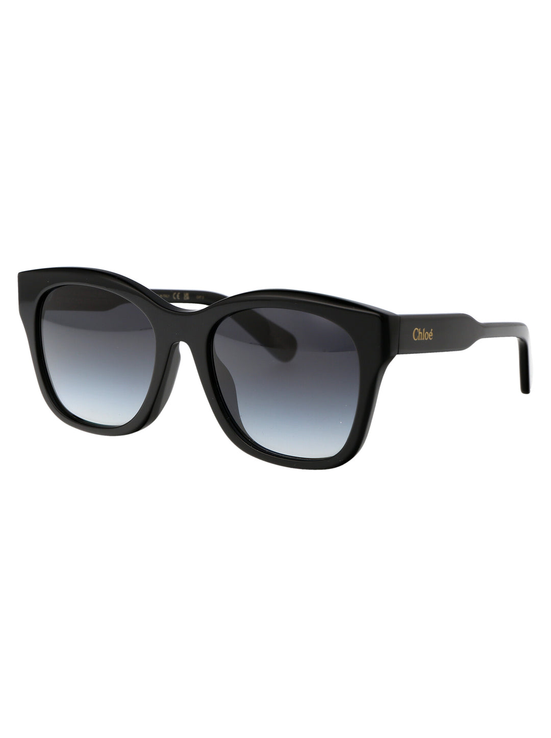 Chloe SUNGLASSES - Black | 8c101b65bd03ca80769f0181a5ab36265616c971
