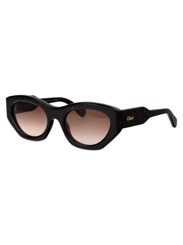 CH0220S GEOMETRICAL Sunglasses
