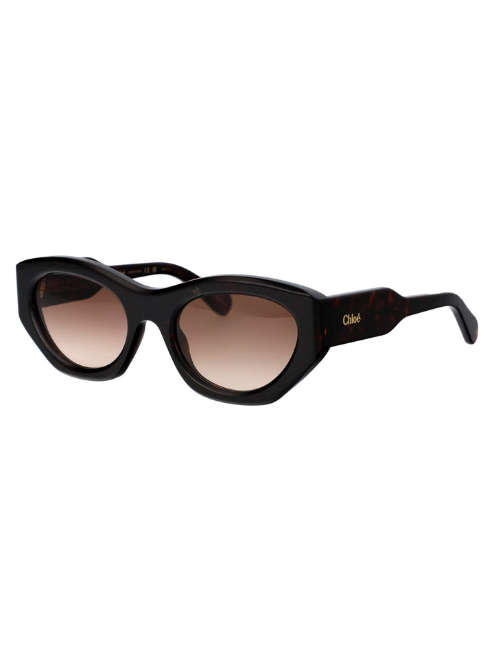 Chloe SUNGLASSES - Havana | bcd1b159aba65defa947969b314c47afcb430198