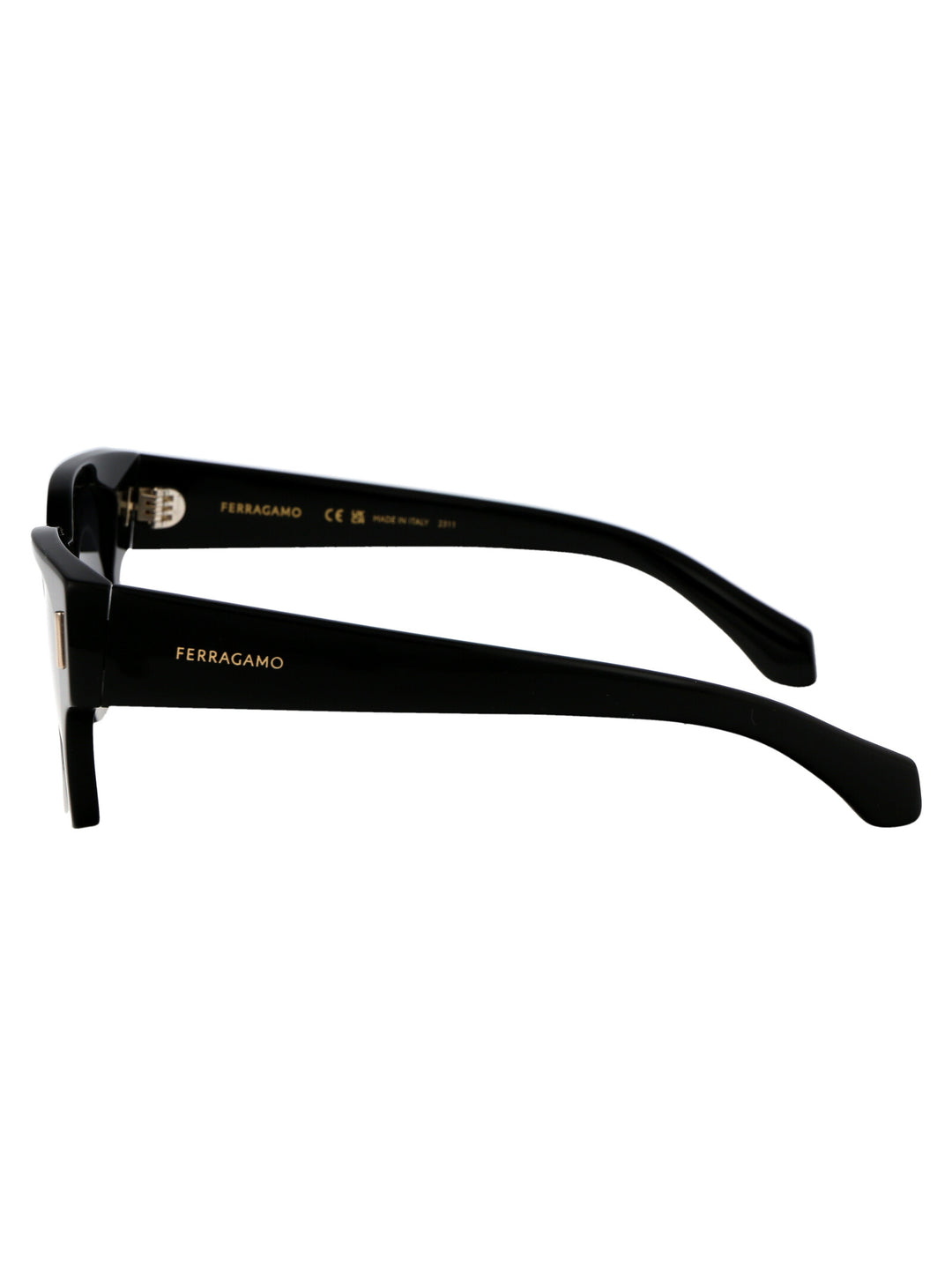 Ferragamo SF2010S SQUARED Sunglasses
