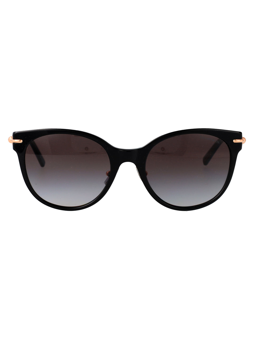 Tiffany & Co 0TF4223D Cat-Eye Sunglasses