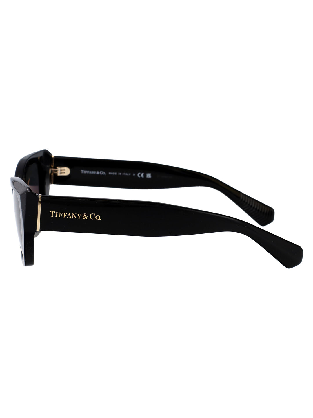 Tiffany & Co SUNGLASSES - Black | 82c768c61460e3fbd20cb082ebbc2bc786c34a36