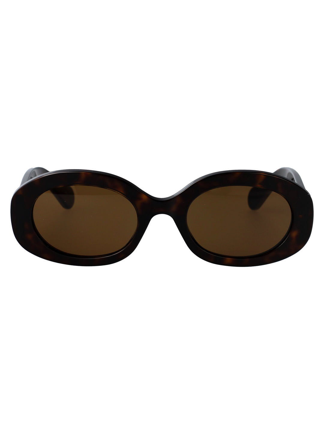 Chloe SUNGLASSES - Havana | b7084651a27c1076e4be3ad37b73272d349ce981