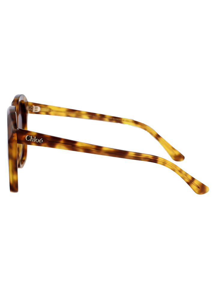 Chloe SUNGLASSES - Havana | c898b913186ace3b7a6c9bce7164e171f489358b