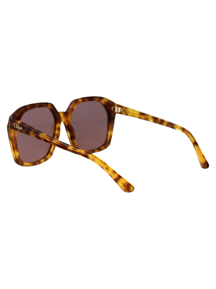 Chloe SUNGLASSES - Havana | c891eb58fa2c24d674de31de1fa480fc32ed3c10
