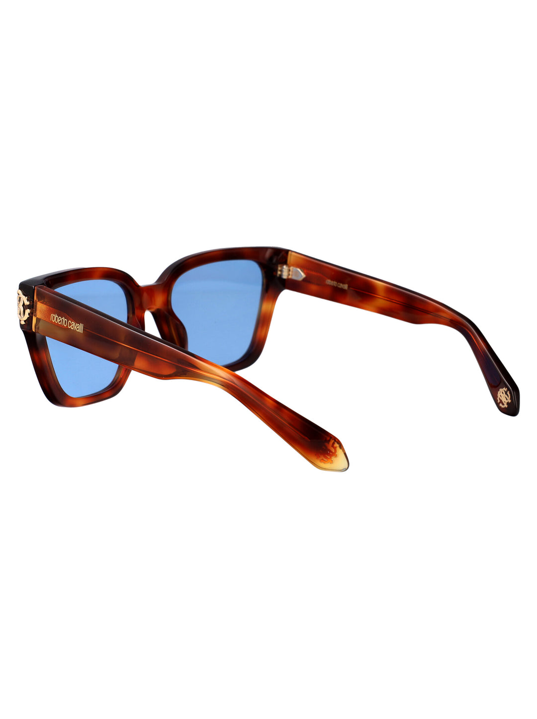 Roberto Cavalli SUNGLASSES - Havana | 024dc407b1ad4132dbd645f38fa9ab0d76fc6d3d