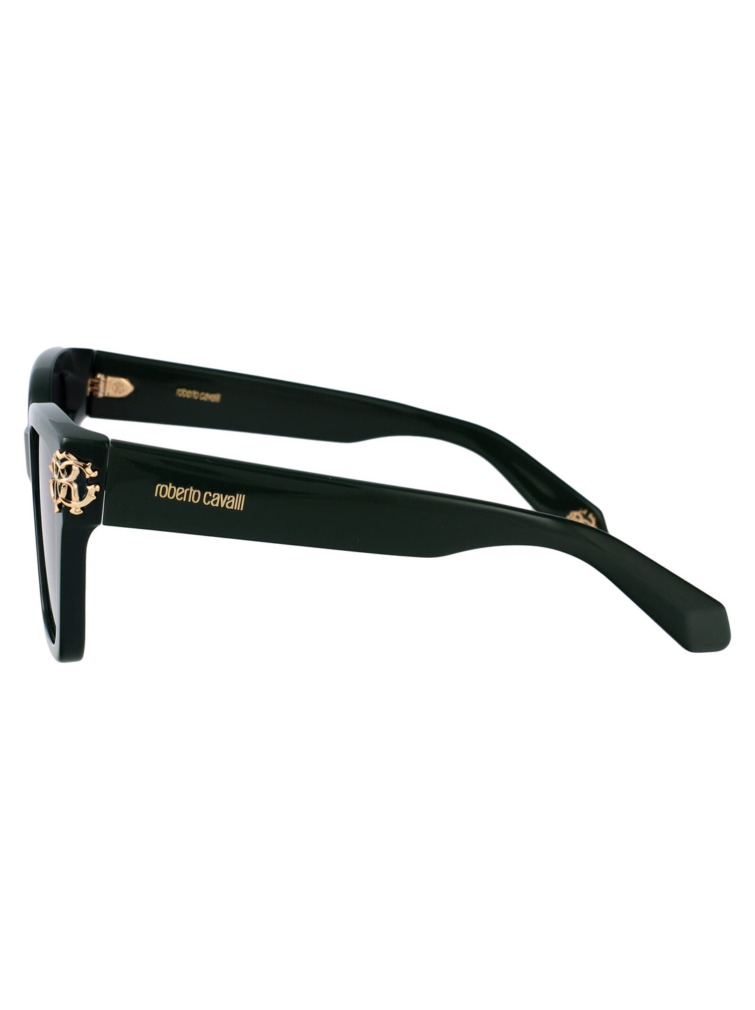 Roberto Cavalli SUNGLASSES - Green | b402775c18f55dfab9729439de9d4705fe62203c