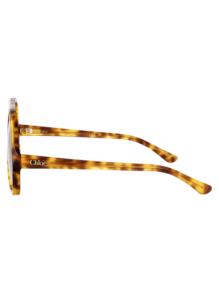 Chloe SUNGLASSES - Havana | a7f7cfd61fab685973461876c8ea20a9ba6562d3