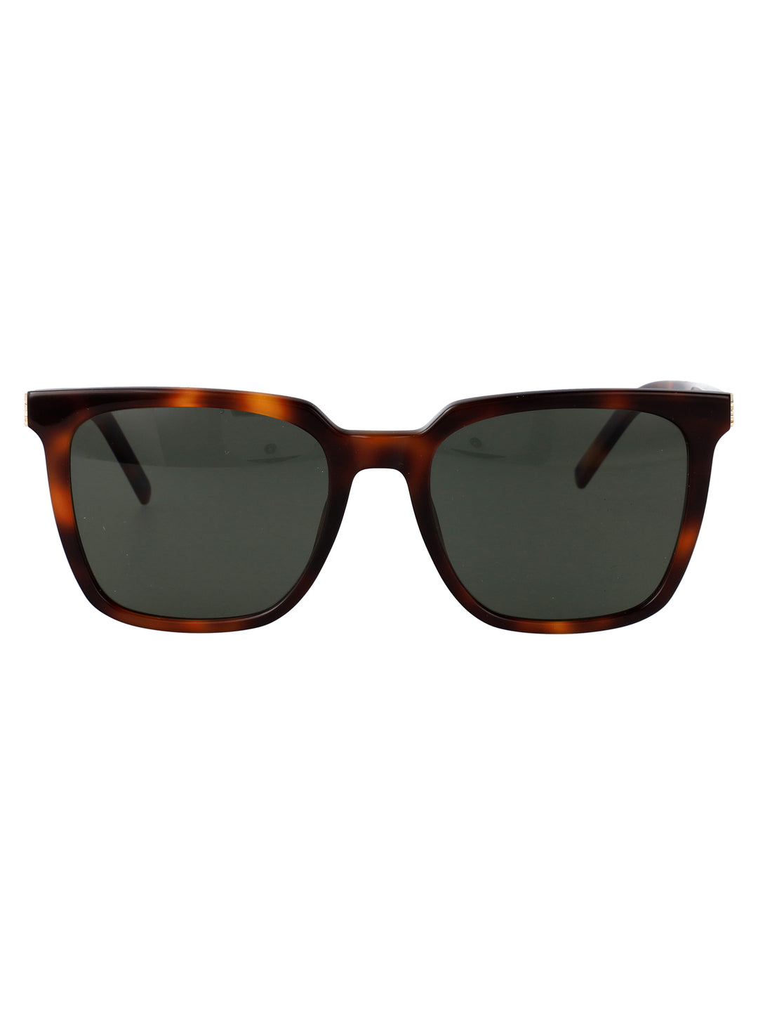 Saint Laurent SUNGLASSES - Havana | 9e2a7af76a7daeb0bac3672526499795f1a33818