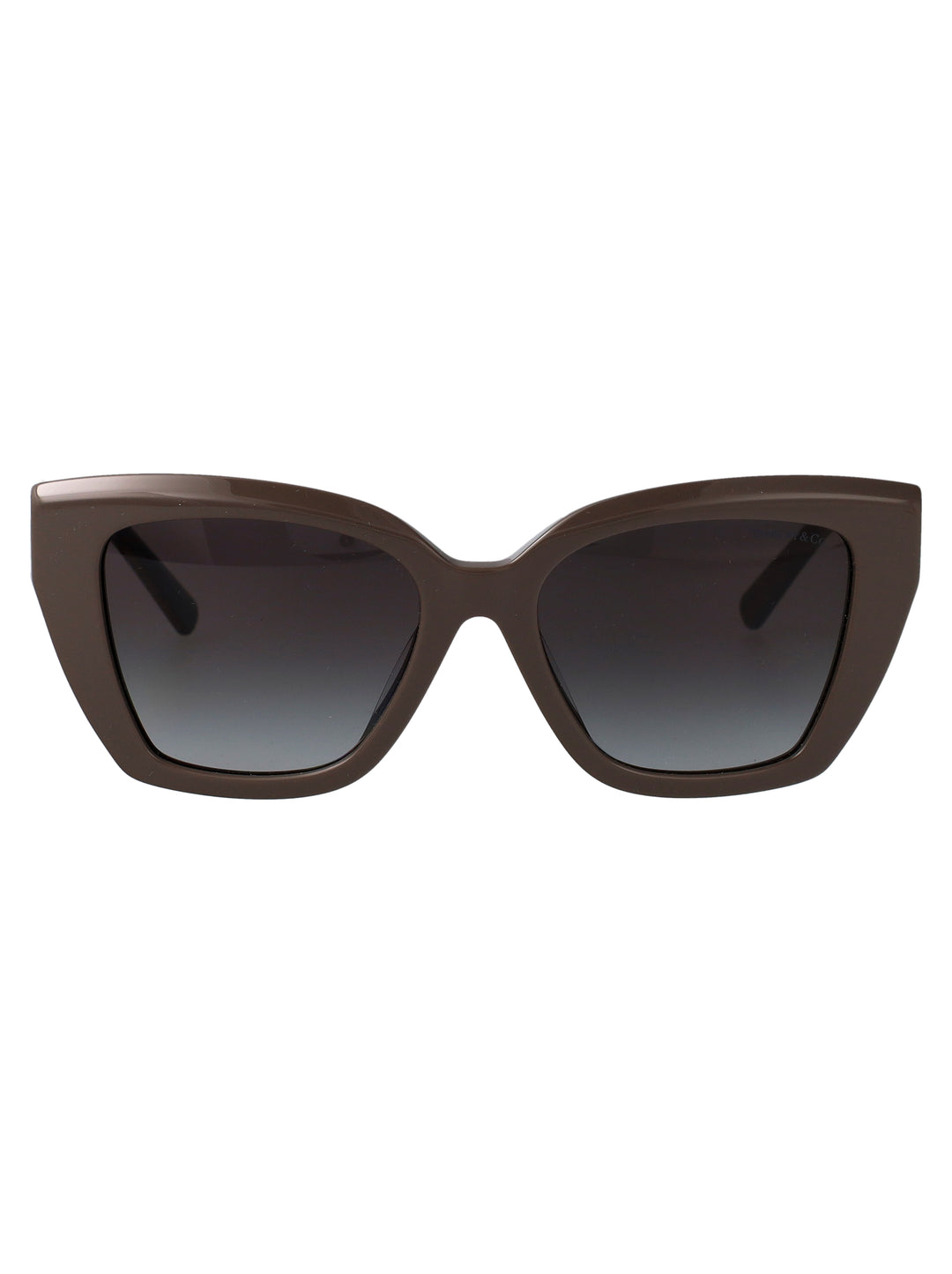 Tiffany & Co SUNGLASSES - Brown | 7bfd63e6d9530a2cdc82fa522da85ca7b695a3a0