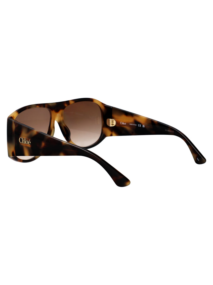 Chloe SUNGLASSES - Havana | a10235325e712171262d73092476170eaf37d6aa