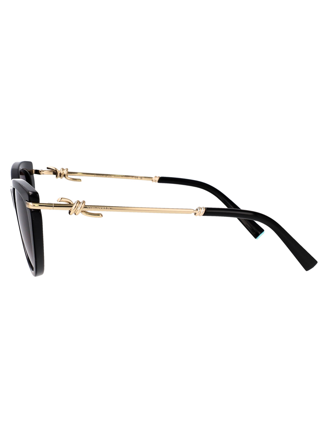 Tiffany & Co SUNGLASSES - Black | 1d071957bbbd1112e331b5626eebcb6e6601b829