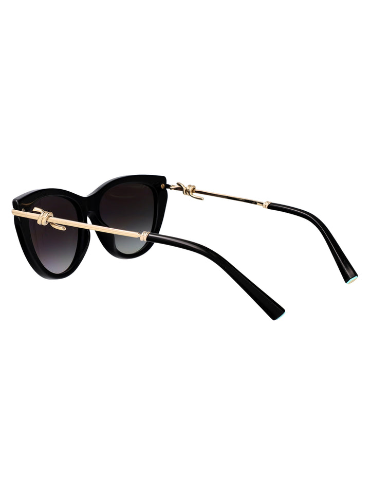 Tiffany & Co SUNGLASSES - Black | 3d00feb07cd7ad669218a91af563a50c376a9dd0
