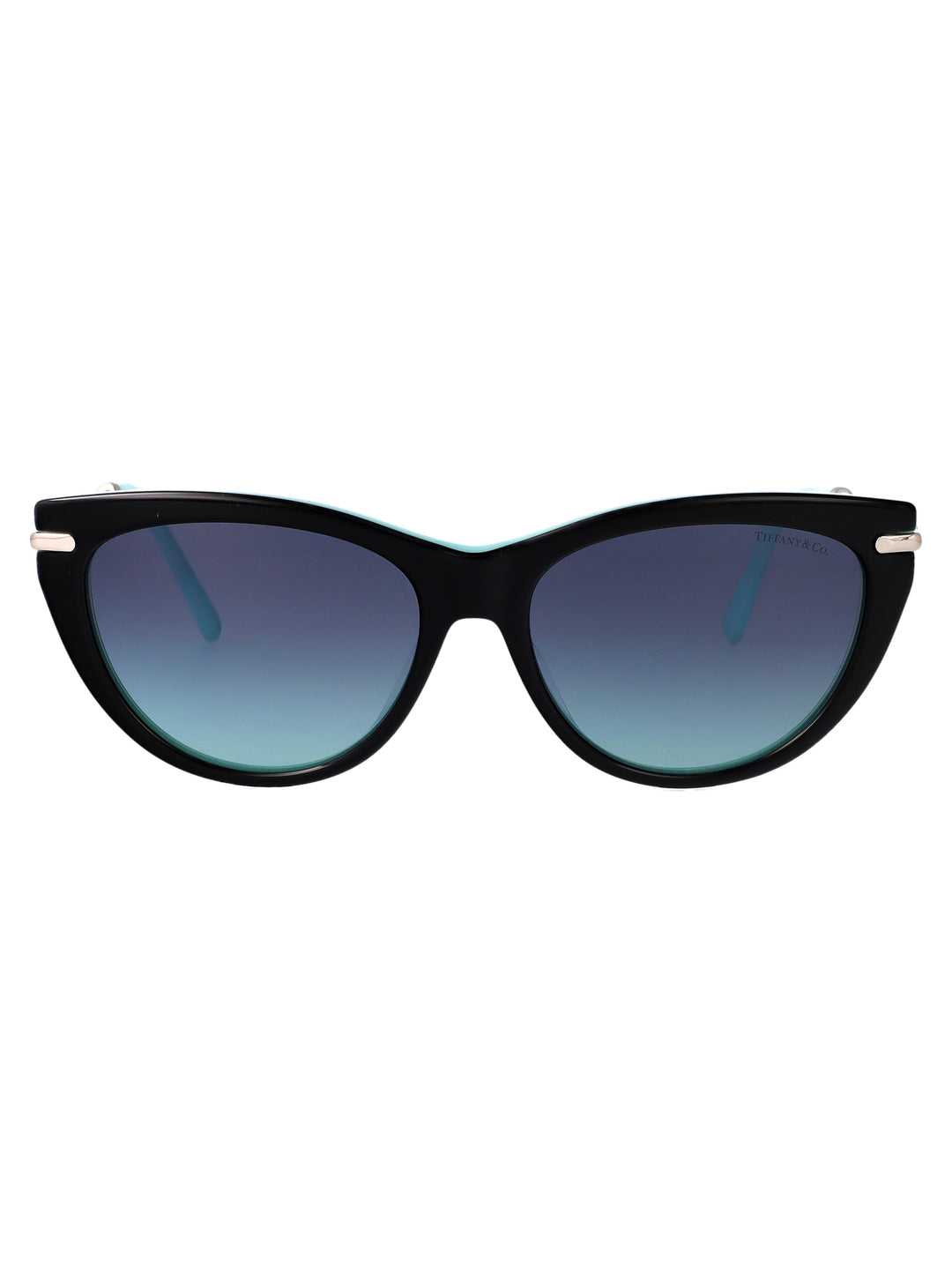 Tiffany & Co SUNGLASSES - Black | f3ee107875c12e5a2d1519eeca50adf2f54b069f