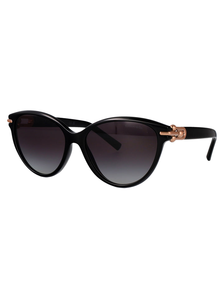 Tiffany & Co SUNGLASSES - Black | 605f3f26bf87a561f08f94bbad1de28f9c5d7ea0