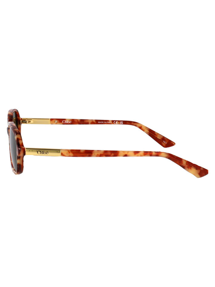 Chloe SUNGLASSES - Havana | b50f874cdb5536823f2257ce4a5f5aef1820b039