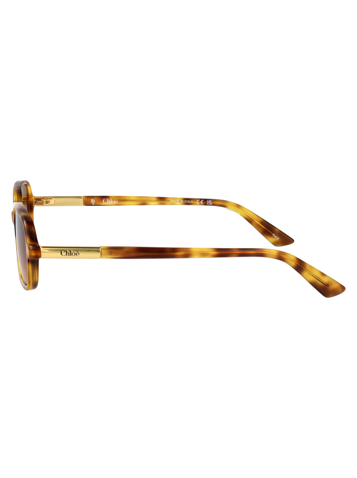 Chloe SUNGLASSES - Havana | 0b9532c5c3d88531e3fcea8810ef7696e7275841