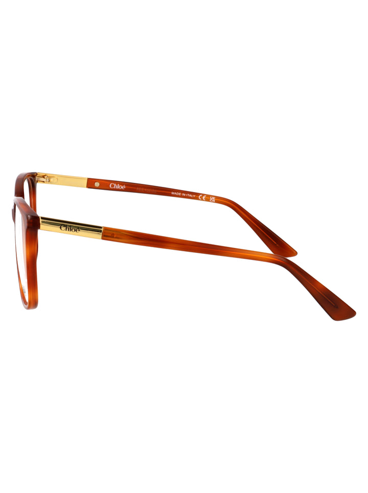 Chloe OPTICAL - Havana | 1f1fb34ce4e3a4c2af2893c83fe605ba37e4b48c