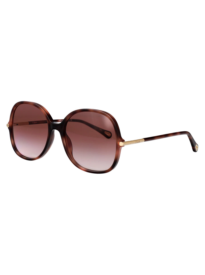 Chloe SUNGLASSES - Havana | e3098fa9ff25ec2986c639fcc26488d7cd9b4943