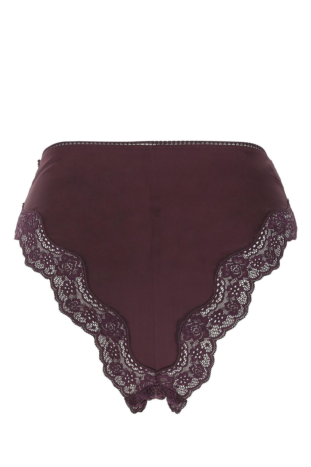 Plum stretch silk brief