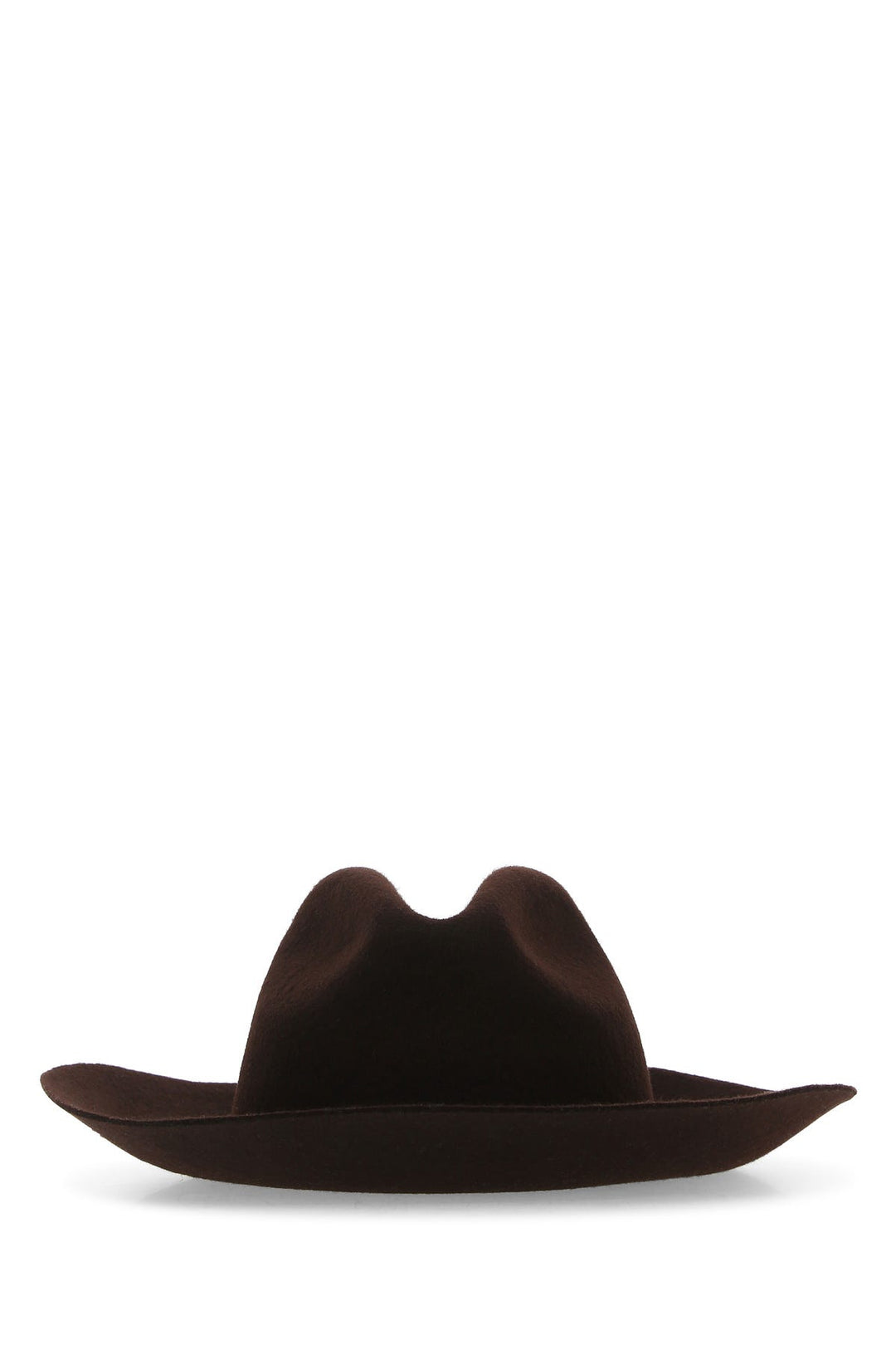 Brown felt Fedora hat