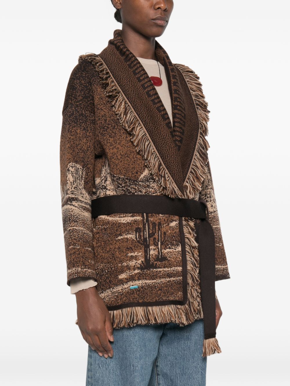 Alanui Sweaters - BROWN | 563b6f23dc43a470fabea83e87d1d9efd50ac10d