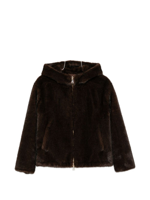 Coats Brown
