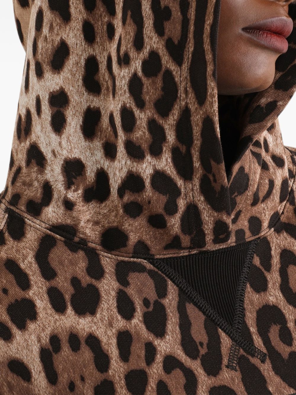 Dolce & Gabbana Sweaters - ANIMALIER | ad6354adfcec4a11733a4df054ec6a49fc95fdbb