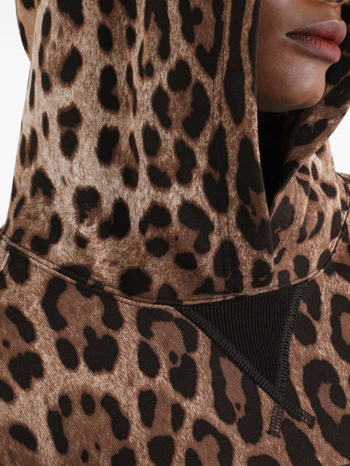 Dolce & Gabbana Sweaters - ANIMALIER | ad6354adfcec4a11733a4df054ec6a49fc95fdbb