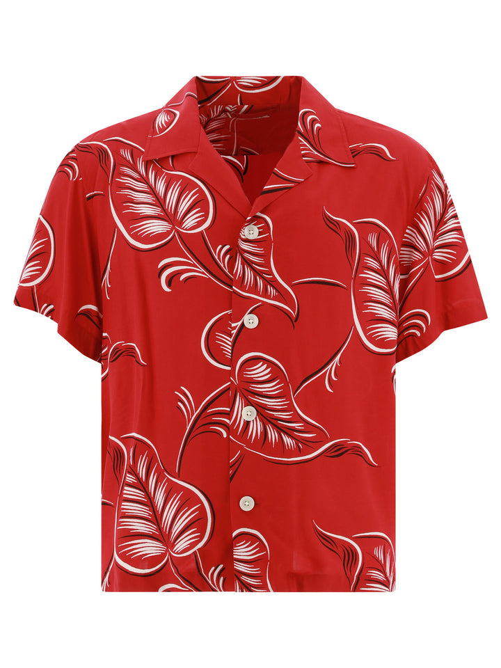 Creeping Begonia Shirts Red