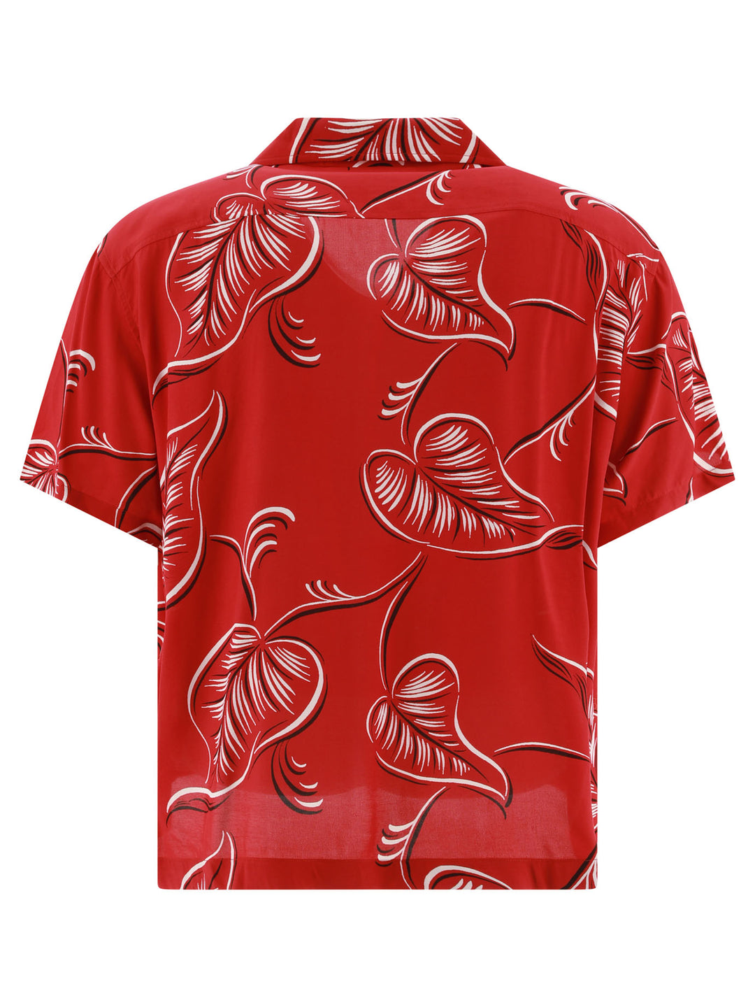 Creeping Begonia Shirts Red