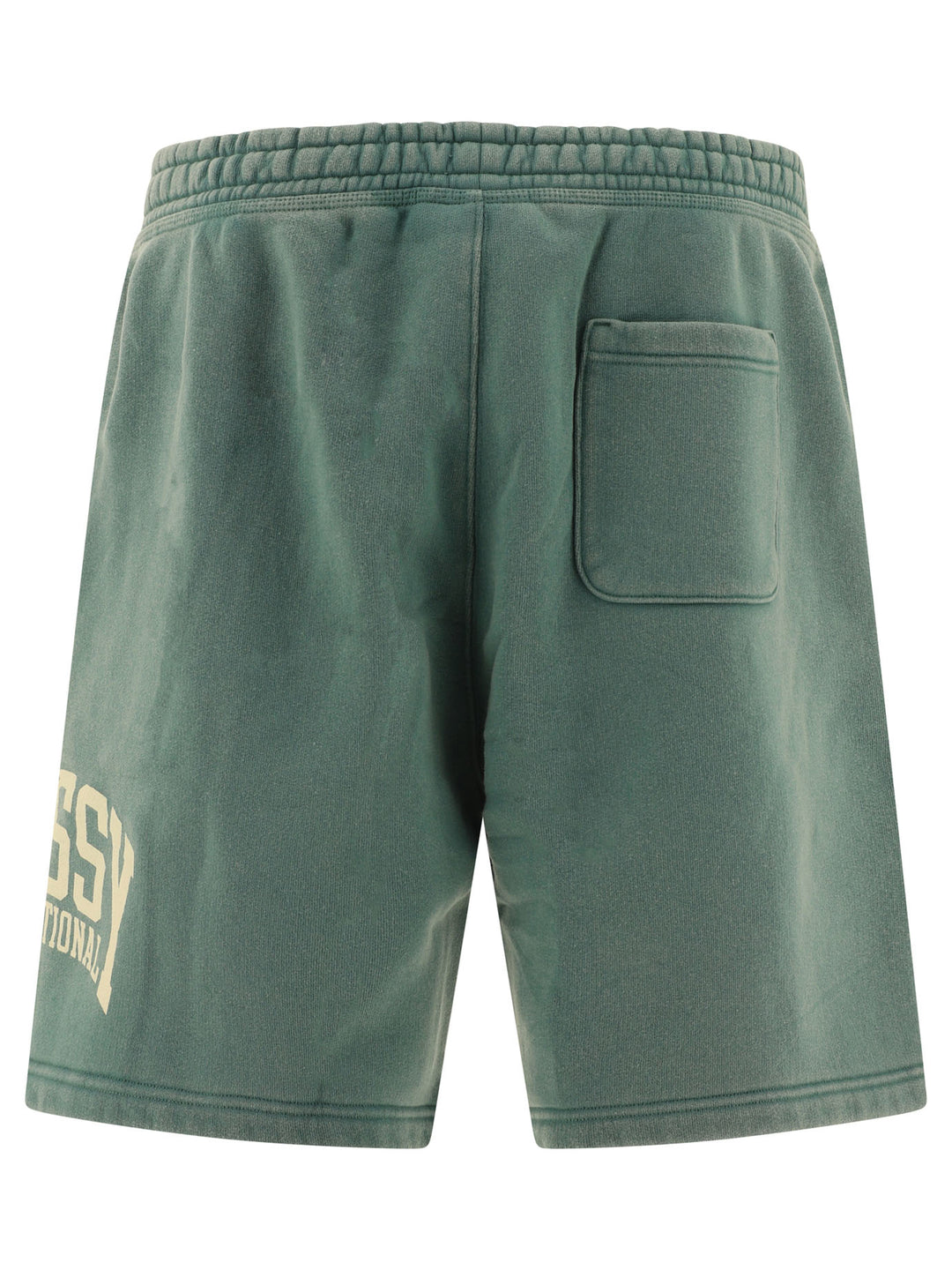 StüSsy International Short Green