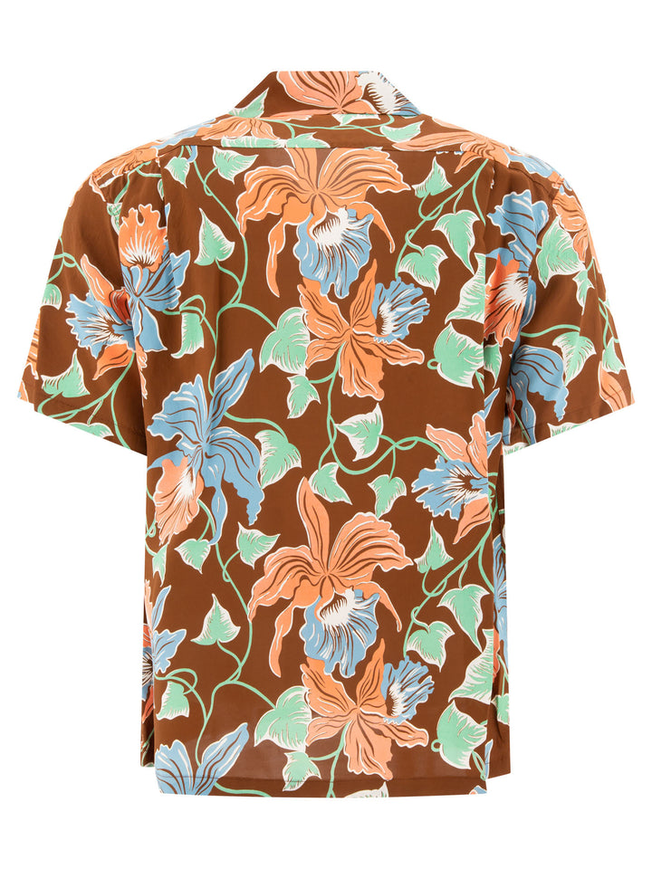 Sun Surf Cattleya Orchid Shirts Brown