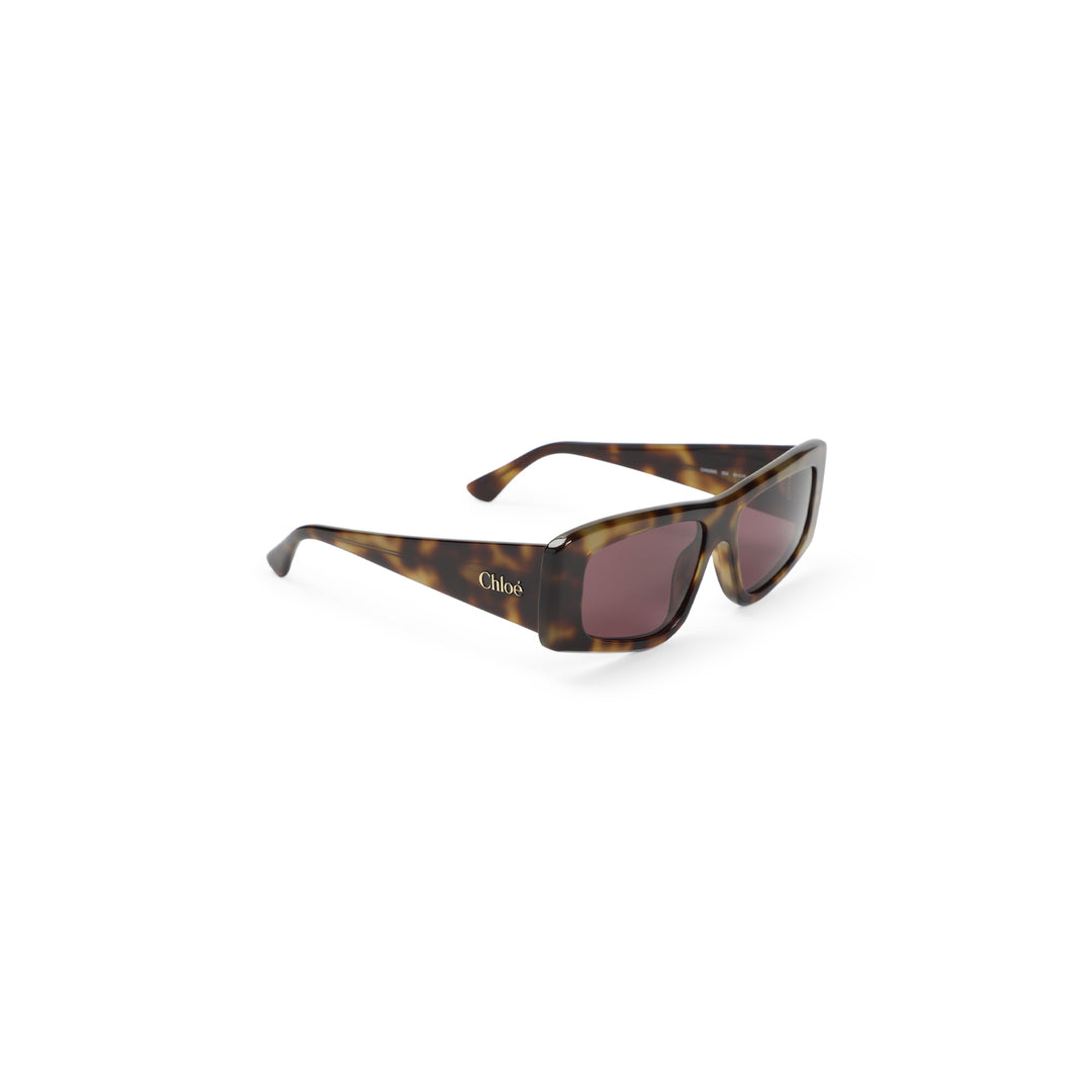 Chloe Eyewear Sunglasses - Brown | e623bcd64da61eb4b9c9d8ca33054f6857f01d54