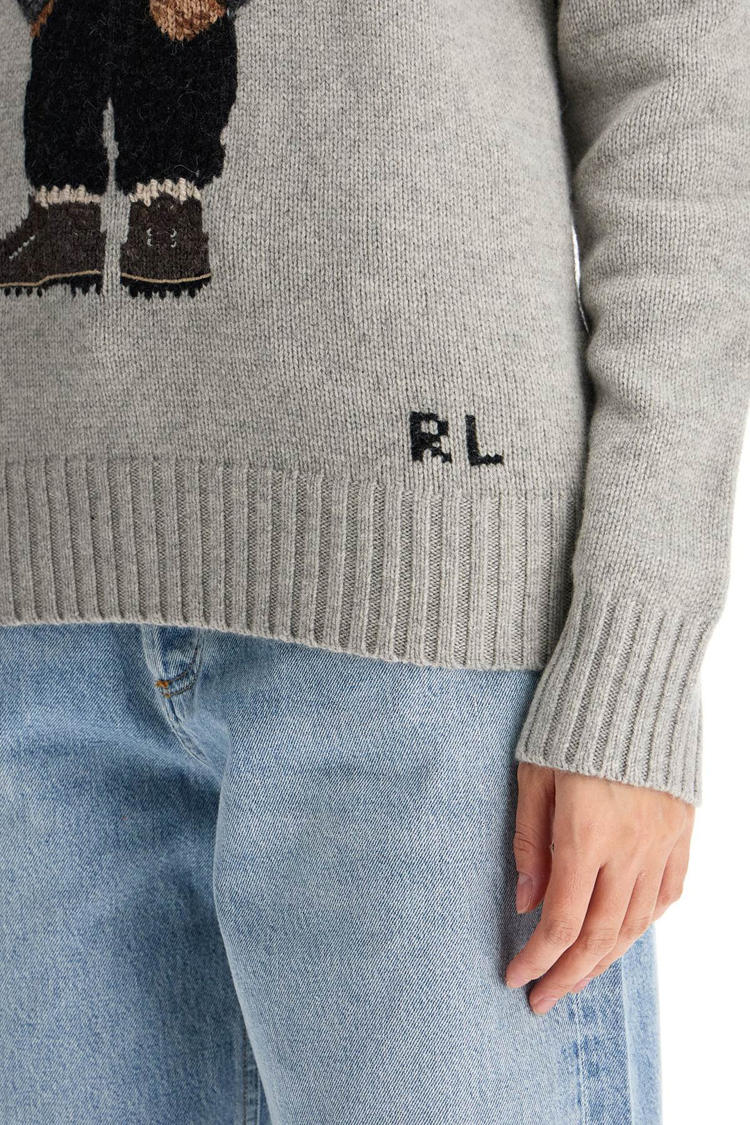 Polo Bear Hooded Sweater