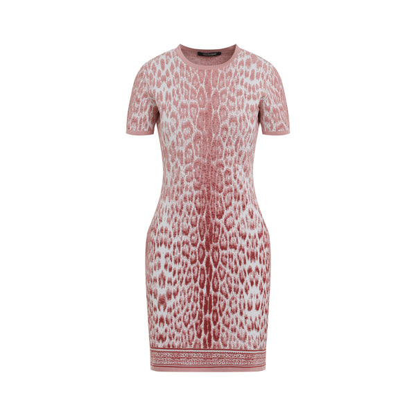 Mini Dresses Pink & Purple