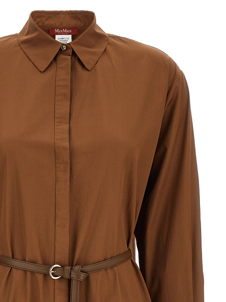 Max Mara Studio Mstlecito Dresses - Brown | 9b25fc43e98ef524c48df7a796c0b4e747435577