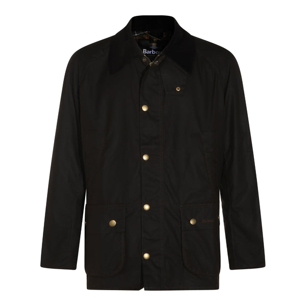 Vestes olive