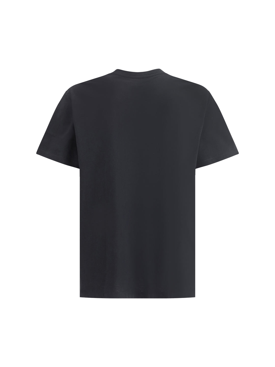 BALMAIN LETTER FLOCK T-SHIRT - REG FIT