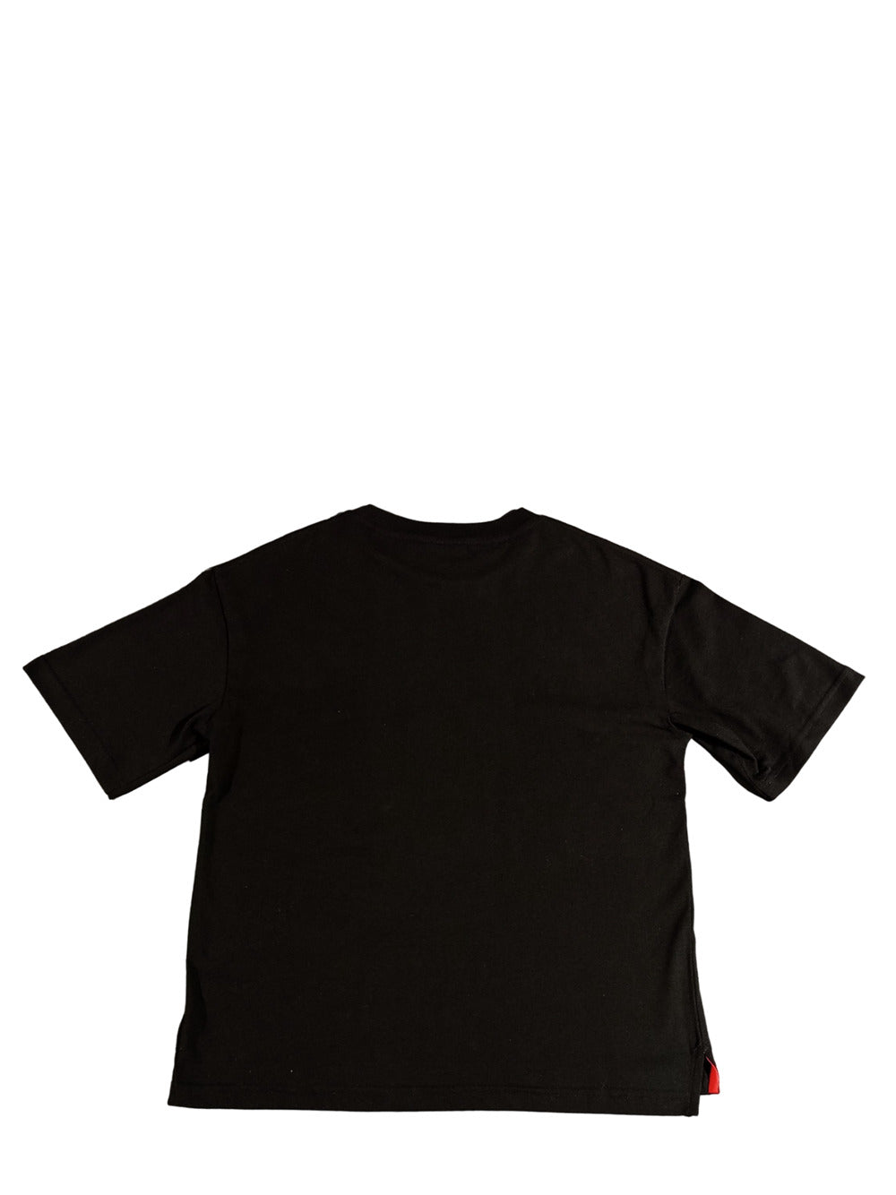 T-shirt uomo 100%co