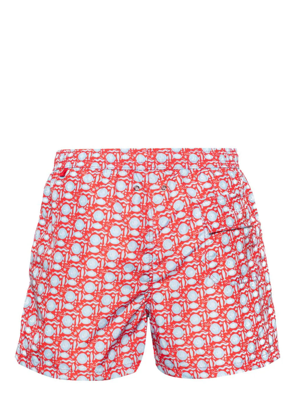 swim shorts with fish print