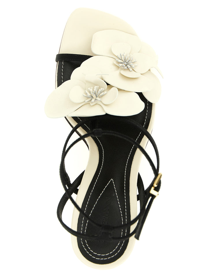 Zimmermann Orchid Sandals - White/Black | 3e801c24c1d566c60870d3e8db996ee64b15d530