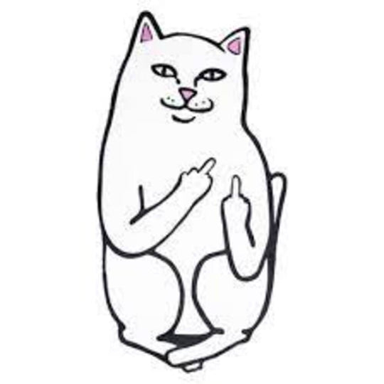 General Accessories White