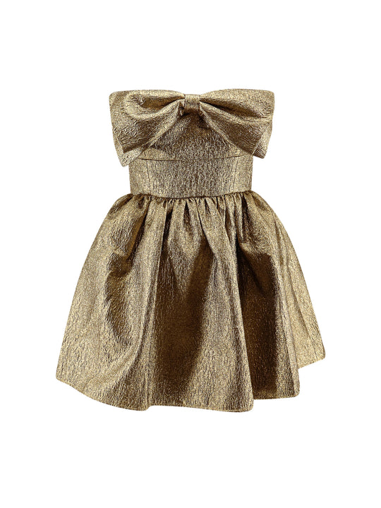 Metallic Fibre Fabric Mini Dress