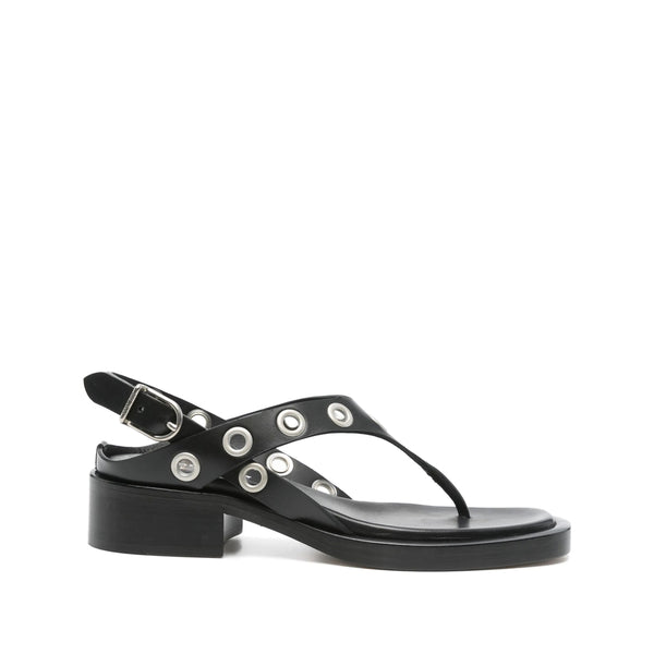 Shoes Black
