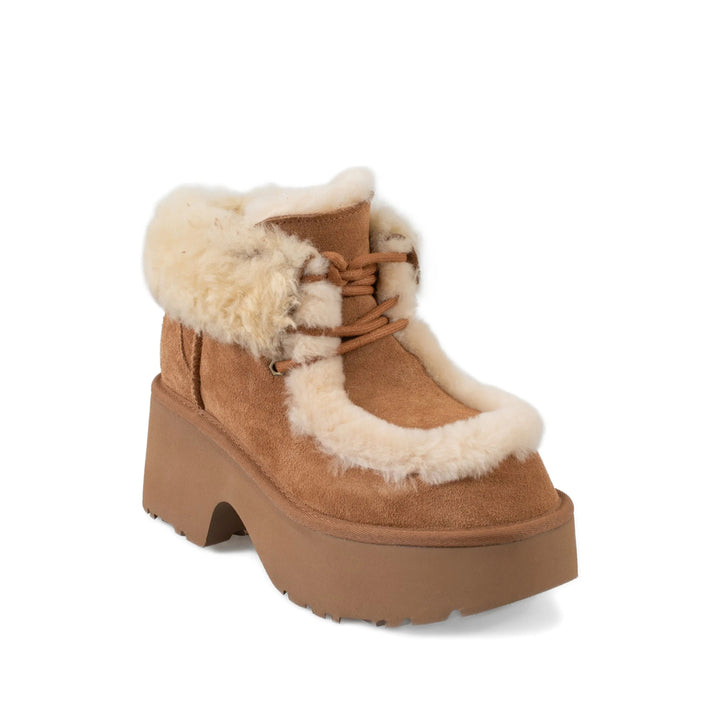 Ugg Shoes - Brown | 8bdb74cf9679e540d8f27bc88ea4b77a39f80e3a