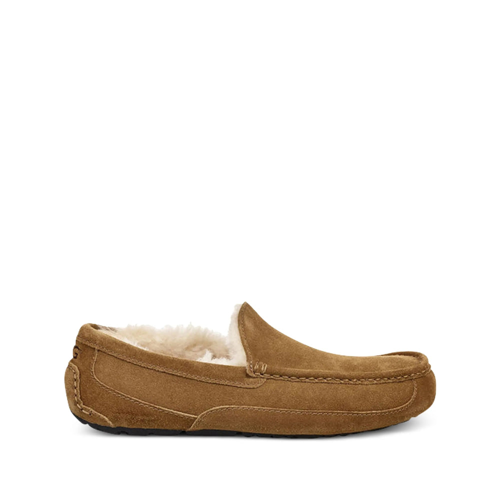 Ugg Shoes - Brown | 3f85563cb923672eba903a8fcd57731365fd9357