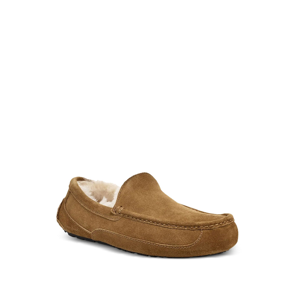 Ugg Shoes - Brown | 0187b9f139c539cbf09e4cc8384e2db4770c13d0
