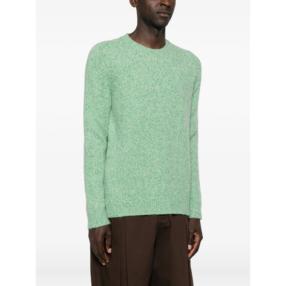 Roberto Collina Sweaters - Green | bb116aeedc3b567cb219fd5b2887ae9d8b5a222f